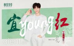 ഺҪyoung족 ũΪ˱ȫ´  